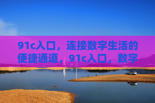 91c入口,连接数字生活的便捷通道,91c入口,数字生活的便捷通道