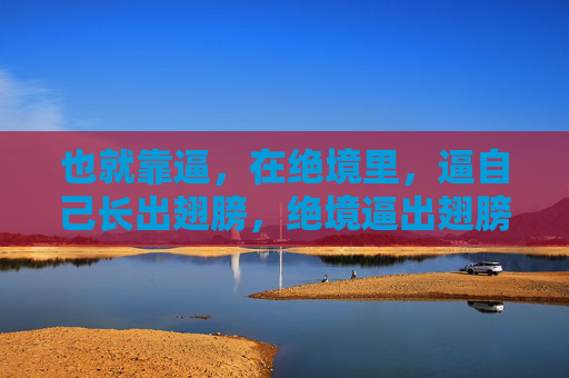 也就靠逼,在绝境里,逼自己长出翅膀,绝境逼出翅膀