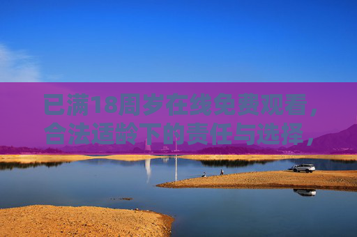 已满18周岁在线免费观看，合法适龄下的责任与选择，18岁合法适龄，在线免费观看的责任与选择