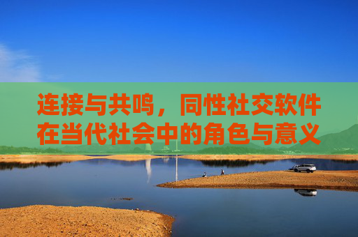 连接与共鸣，同性社交软件在当代社会中的角色与意义，连接与共鸣，同性社交软件的当代社会角色与意义