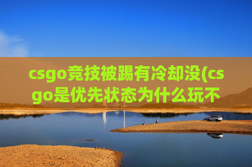 csgo竞技被踢有冷却没(csgo是优先状态为什么玩不了排位)