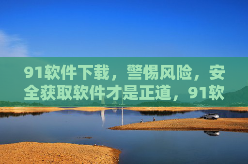 91软件下载，警惕风险，安全获取软件才是正道，91软件下载，警惕风险，安全获取才是正道