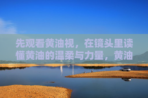 先观看黄油视,在镜头里读懂黄油的温柔与力量,黄油视,镜头里的温柔与力量