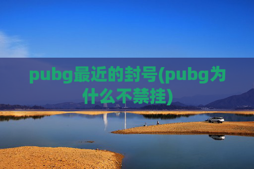 pubg最近的封号(pubg为什么不禁挂)