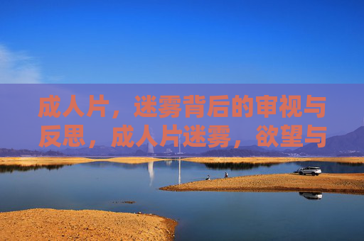 成人片，迷雾背后的审视与反思，成人片迷雾，欲望与伦理的审视与反思