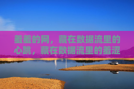 羞羞的网，藏在数据流里的心跳，藏在数据流里的羞涩心跳