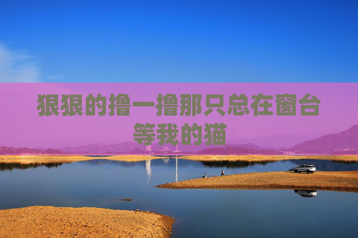 狠狠的撸一撸那只总在窗台等我的猫