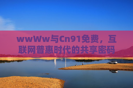 wwWw与Cn91免费，互联网普惠时代的共享密码