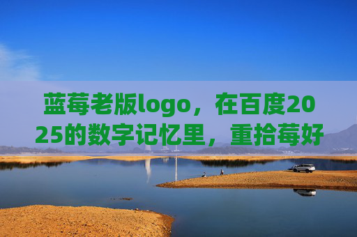 蓝莓老版logo，在百度2025的数字记忆里，重拾莓好时光，百度2025数字记忆，蓝莓老版logo重拾莓好时光
