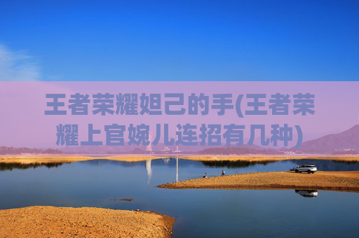 王者荣耀妲己的手(王者荣耀上官婉儿连招有几种)