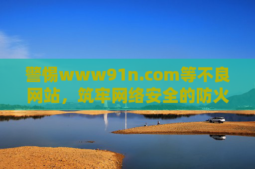 警惕www91n.com等不良网站，筑牢网络安全的防火墙，警惕不良网站 筑牢网络安全防火墙