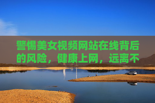 警惕美女视频网站在线背后的风险，健康上网，远离不良诱惑，警惕美女视频网站在线风险，健康上网远离不良诱惑