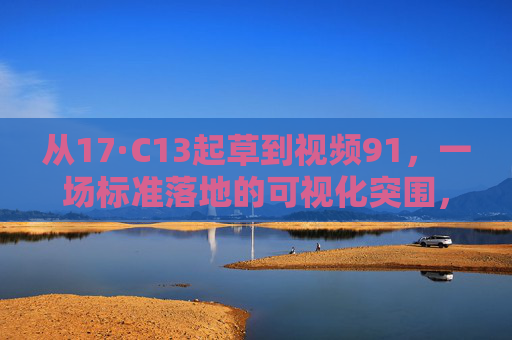 从17·C13起草到视频91,一场标准落地的可视化突围,17·C13起草到视频91,标准落地的可视化突围