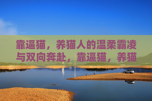 靠逼猫，养猫人的温柔霸凌与双向奔赴，靠逼猫，养猫人的温柔霸凌与双向奔赴