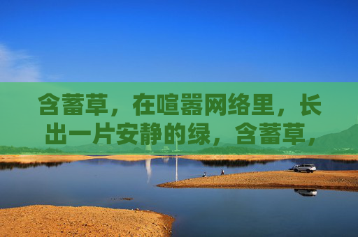 含蓄草,在喧嚣网络里,长出一片安静的绿,含蓄草,喧嚣网络里的安静绿