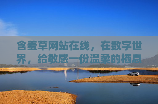 含羞草网站在线,在数字世界,给敏感一份温柔的栖息地,含羞草,数字世界的温柔栖息地