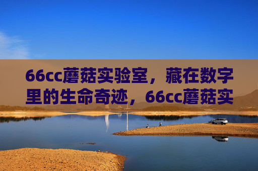 66cc蘑菇实验室,藏在数字里的生命奇迹,66cc蘑菇实验室,数字里的生命奇迹