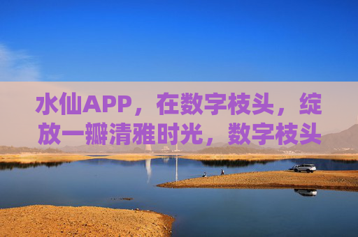 水仙APP,在数字枝头,绽放一瓣清雅时光,数字枝头,水仙APP绽放一瓣清雅时光