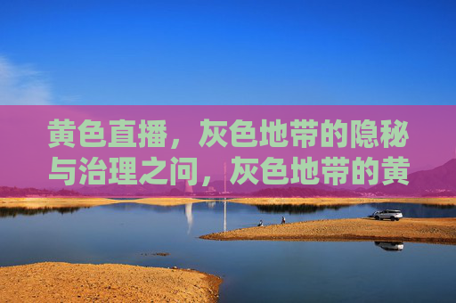 黄色直播,灰色地带的隐秘与治理之问,灰色地带的黄色直播,隐秘与治理之问