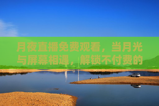 月夜直播免费观看，当月光与屏幕相遇，解锁不付费的诗意与陪伴，月夜免费直播，诗意陪伴，月色入屏