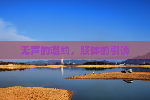 无声的邀约,肢体的引诱