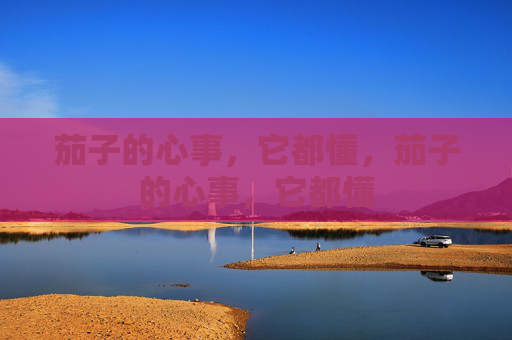 茄子的心事,它都懂,茄子的心事,它都懂
