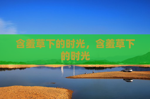 含羞草下的时光，含羞草下的时光