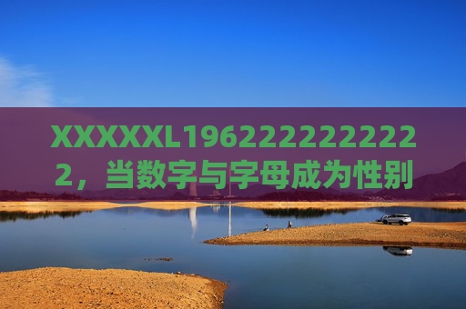 XXXXXL1962222222222，当数字与字母成为性别的谜题，数字与字母，性别的谜题