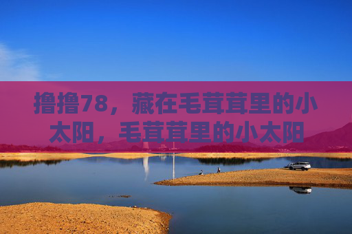 撸撸78,藏在毛茸茸里的小太阳,毛茸茸里的小太阳