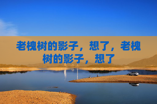 老槐树的影子,想了,老槐树的影子,想了