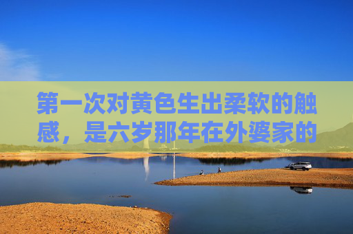 第一次对黄色生出柔软的触感,是六岁那年在外婆家的向日葵田里,六岁,第一次触摸向日葵的柔软