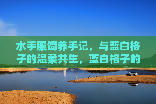 水手服饲养手记，与蓝白格子的温柔共生，蓝白格子的温柔饲养手记