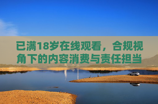 已满18岁在线观看,合规视角下的内容消费与责任担当,已满18岁在线观看,合规视角下的内容消费与责任担当