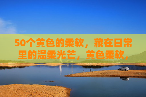 50个黄色的柔软,藏在日常里的温柔光芒,黄色柔软,日常里的温柔光芒
