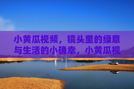 小黄瓜视频，镜头里的绿意与生活的小确幸，小黄瓜视频，镜头绿意与生活小确幸