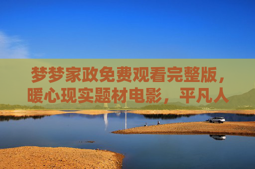 梦梦家政免费观看完整版，暖心现实题材电影，平凡人的奋斗故事引共鸣，梦梦家政，暖心现实题材，平凡奋斗引共鸣