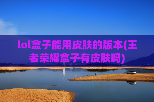 lol盒子能用皮肤的版本(王者荣耀盒子有皮肤吗)