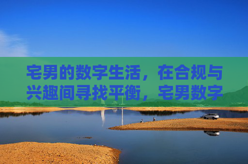 宅男的数字生活,在合规与兴趣间寻找平衡,宅男数字生活的合规与兴趣平衡