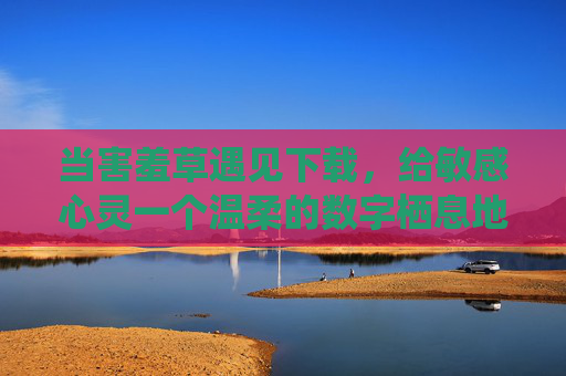 当害羞草遇见下载，给敏感心灵一个温柔的数字栖息地，害羞草的温柔数字栖息地