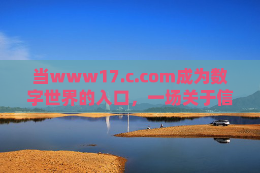 当www17.c.com成为数字世界的入口,一场关于信息与连接的思考,数字入口,信息与连接的思辨