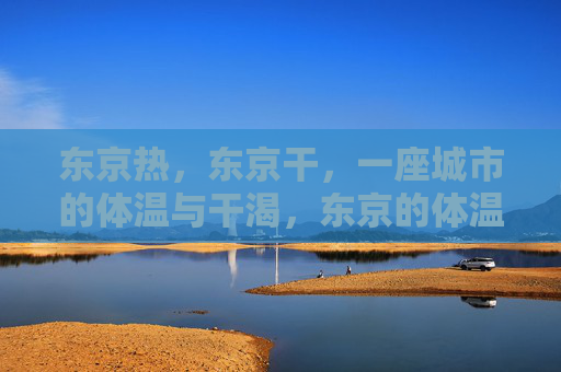 东京热,东京干,一座城市的体温与干渴,东京的体温与干渴