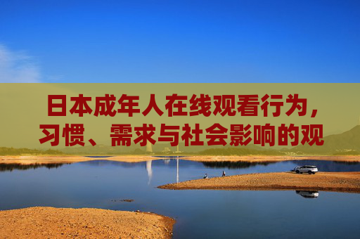 日本成年人在线观看行为,习惯、需求与社会影响的观察,日本成年人在线观看行为,习惯、需求与社会影响观察