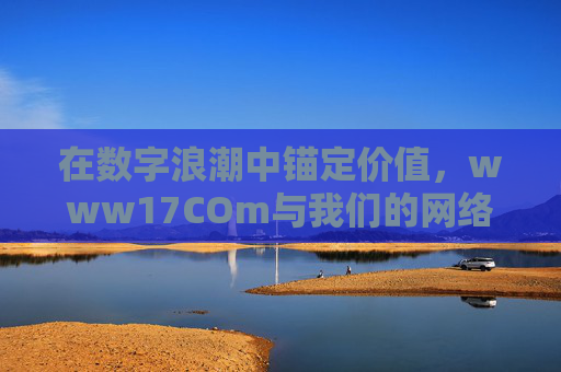 在数字浪潮中锚定价值,www17COm与我们的网络生活,www17COm,在数字浪潮中锚定网络生活价值