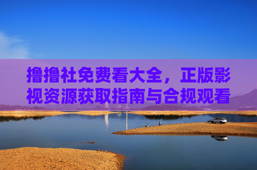 撸撸社免费看大全，正版影视资源获取指南与合规观看建议，撸撸社免费看正版影视资源，获取指南与合规建议