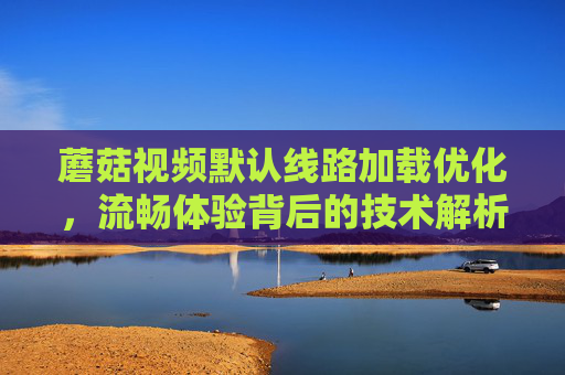 蘑菇视频默认线路加载优化，流畅体验背后的技术解析，蘑菇视频流畅体验，默认线路加载优化技术解析