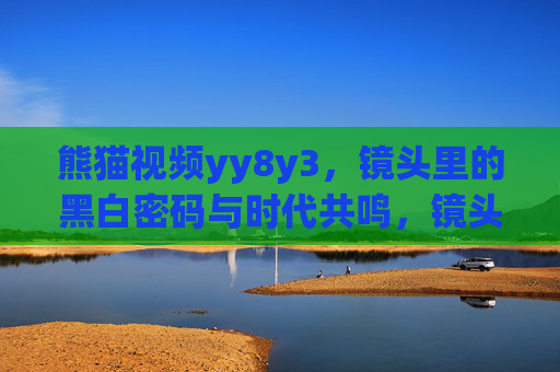 熊猫视频yy8y3,镜头里的黑白密码与时代共鸣,镜头里的黑白密码,熊猫视频的时代共鸣