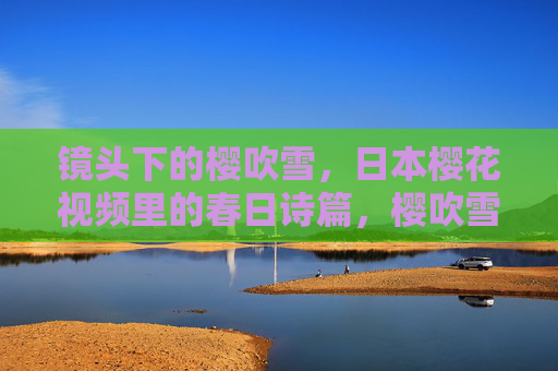 镜头下的樱吹雪，日本樱花视频里的春日诗篇，樱吹雪，镜头里的春日诗篇