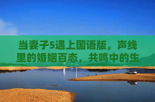 当妻子5遇上国语版,声线里的婚姻百态,共鸣中的生活温度,妻子5国语版,声线绘婚姻百态,共鸣暖生活