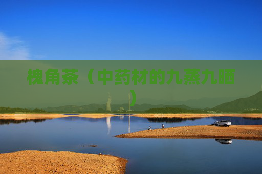 详细阅读:槐角茶(中药材的九蒸九晒) 槐角茶(中药材的九蒸九晒)