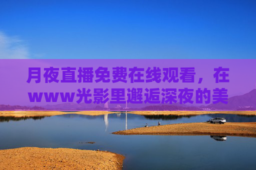 月夜直播免费在线观看,在www光影里邂逅深夜的美好,光影月夜直播,免费在线邂逅深夜美好